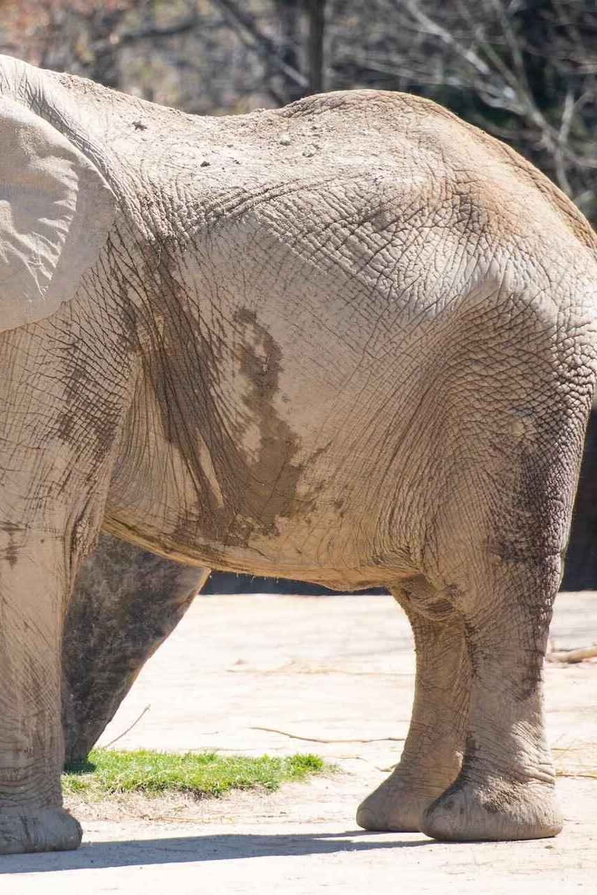 Cleveland Metroparks Zoo